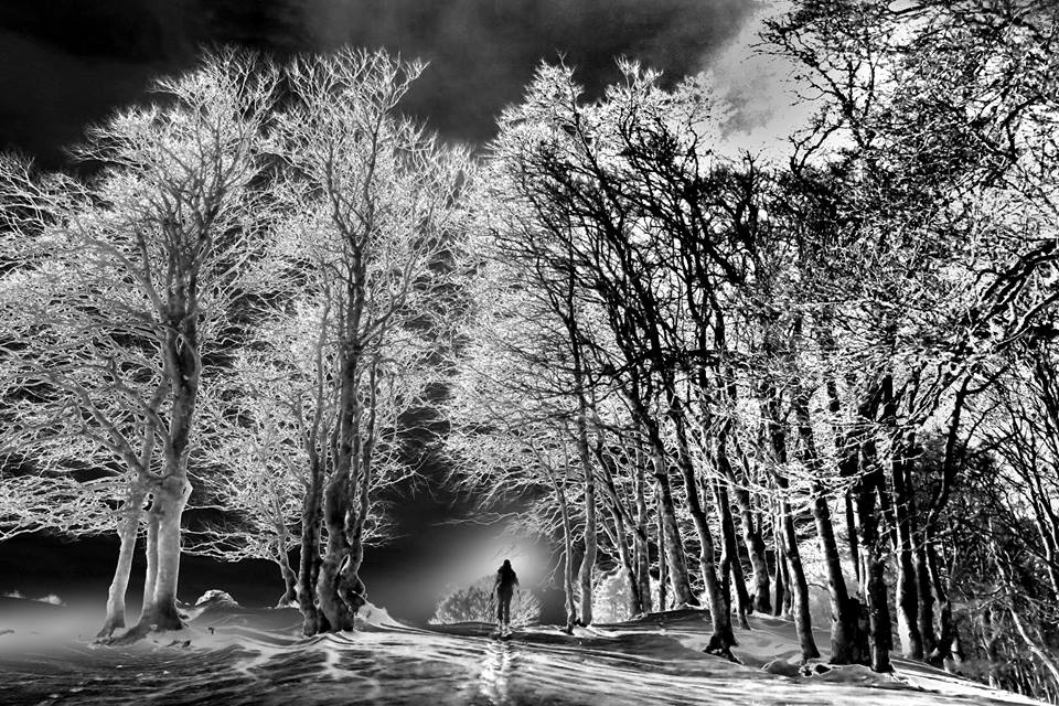 12458_1141667359186068_5480572752384387919_n